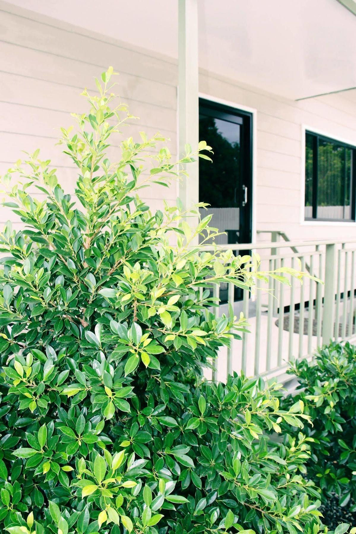 Citi Serviced Apartments & Motel - Lagatoi Place Port Moresby Exterior photo